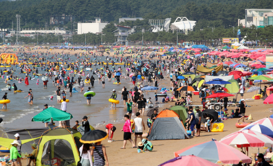 태안해수욕장 관광객 221만명 다녀가...전년대비 31% 증가