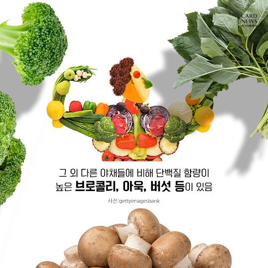 카드 뉴스 이미지