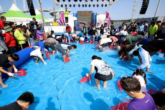 태안군, 제20회 안면도 대하축제 11일 개막