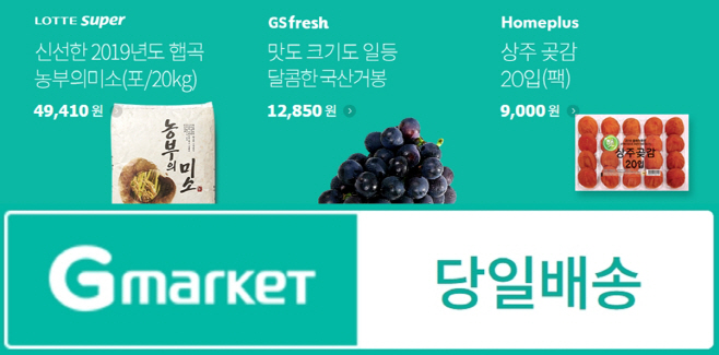 G마켓_한가위빅세일 X 당일배송 프로모션