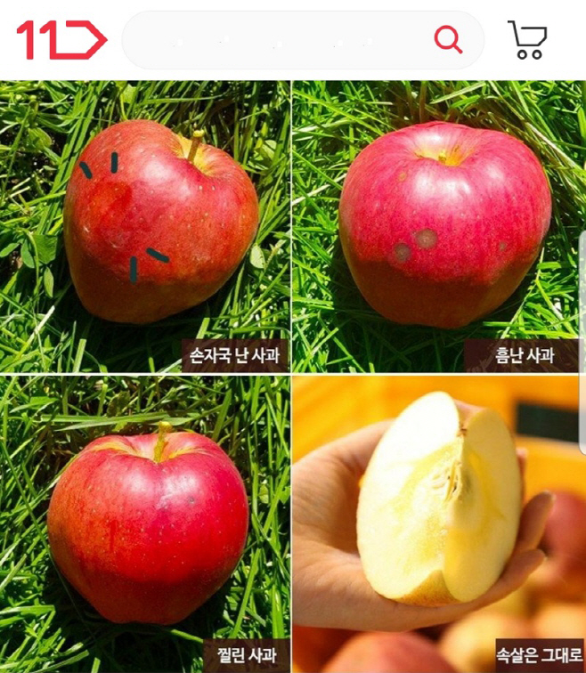 [참고이미지] 11번가
