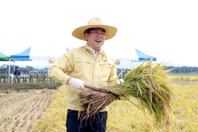 서산시, 벼 베기 시연 행사 개최