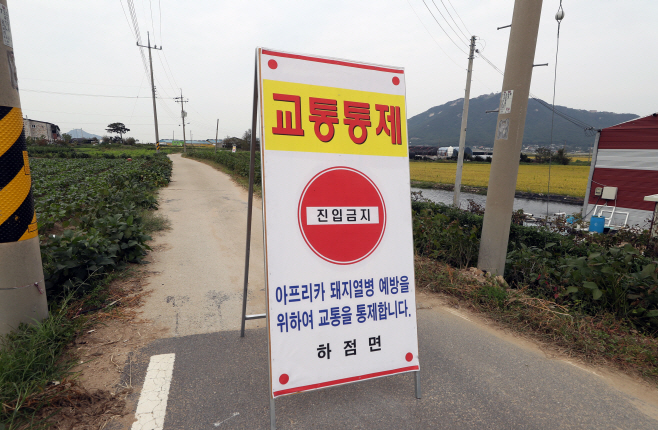 국내 9번째 돼지열병 확진된 양돈농장
