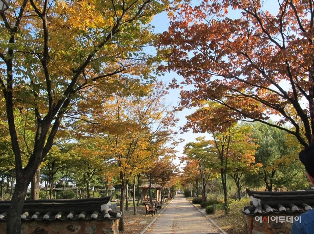 월미공원단풍길