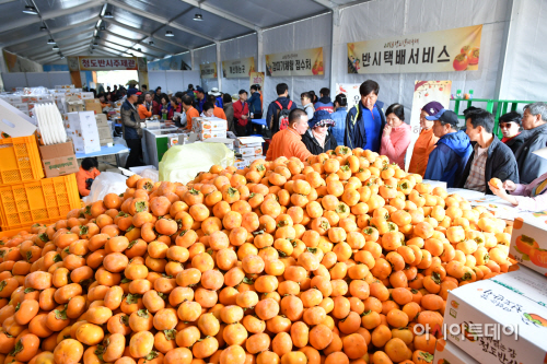 청도반시축제 (1)