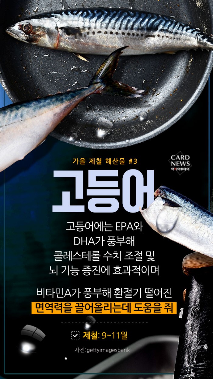 카드 뉴스 이미지