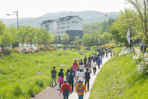 두발로데이(행사모습1)