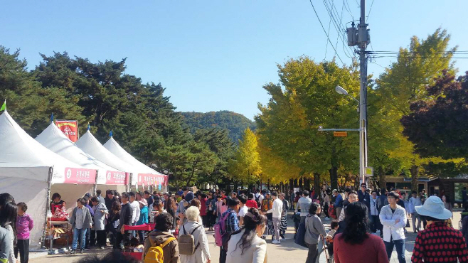 (오후) 2. 1008 농정과 - 문경사과축제의 변신은 무죄!!3