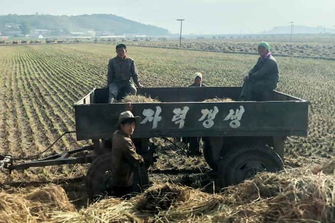 Harvesting crops in North Korea