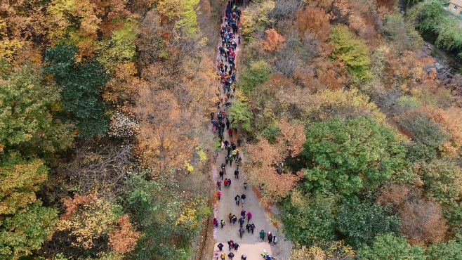 회남재 숲길 걷기