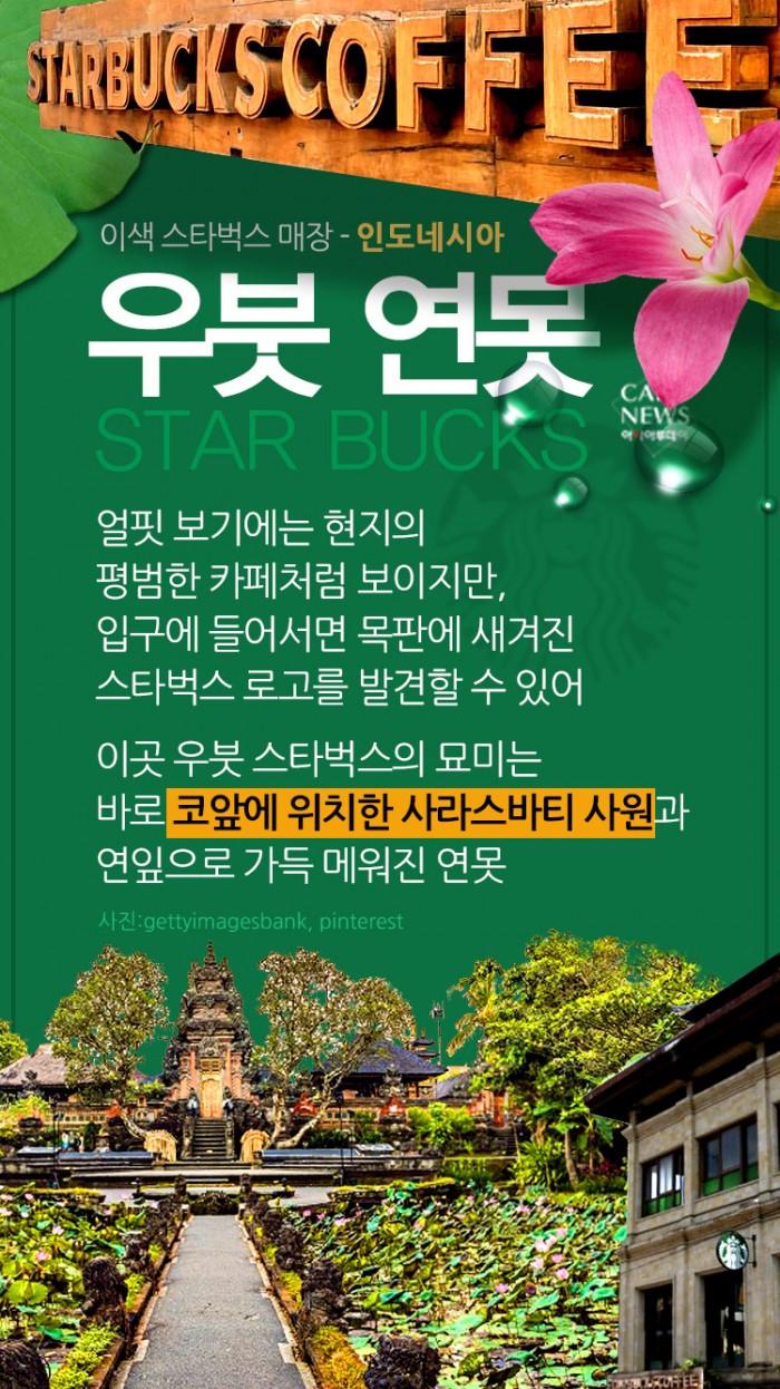 카드 뉴스 이미지