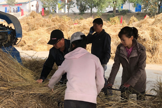 Harvesting crops in North Korea