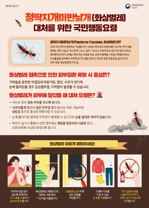 고양시 보건소 통증유발 ‘화상벌레’ 출몰에 접촉주의 당부/제