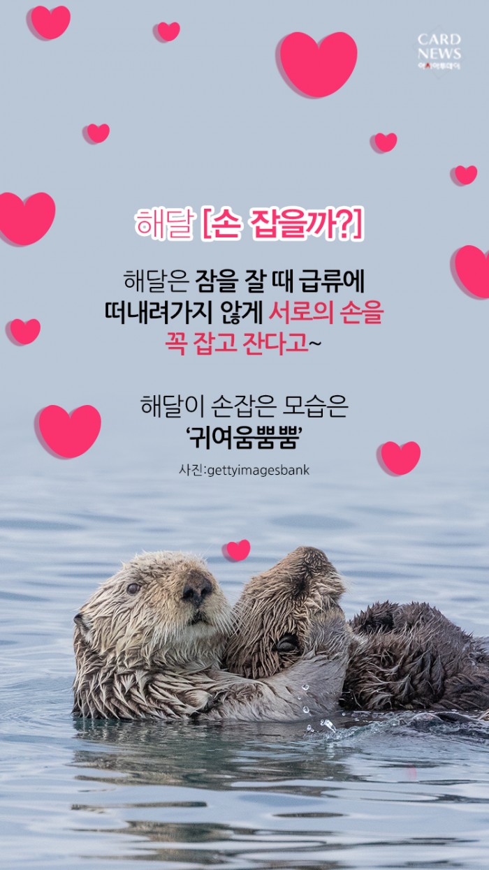 카드 뉴스 이미지