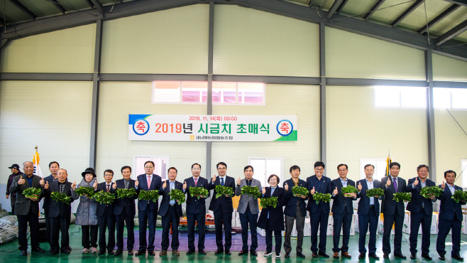 보물섬 남해 시금치 본격 출하