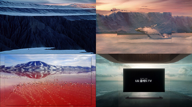LG전자 OLED TV