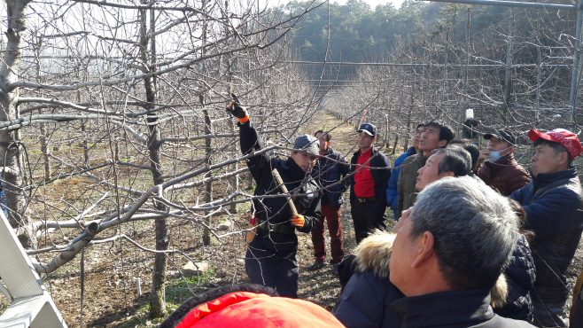 과수전정교육