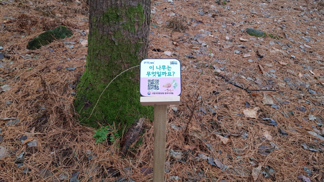 국립휴양림