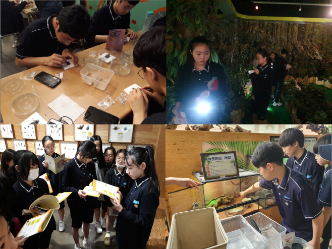 01_여주곤충박물관, 2019년 우수 청소년인증수련활동 선정