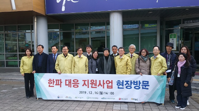 금강청