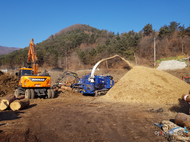 소나무재선충병 피해목 산업적이용활성화 추진
