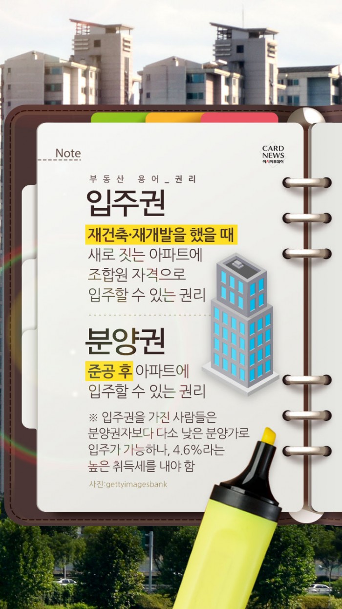 카드 뉴스 이미지