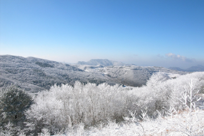 사본 -[코레일관광개발] 태백산 눈축제 (3)