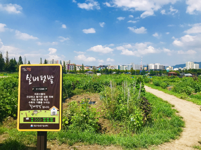 텃밭 분양
