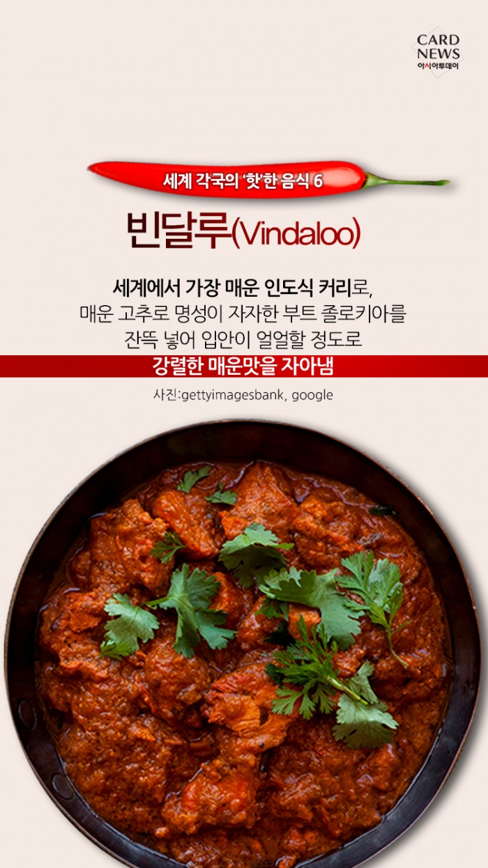카드 뉴스 이미지