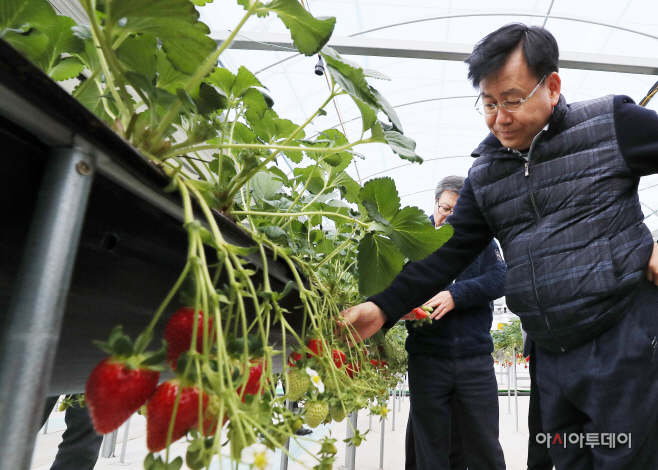 성주참외과채류연구소 방문 (3)