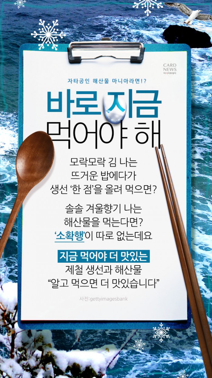 카드 뉴스 이미지