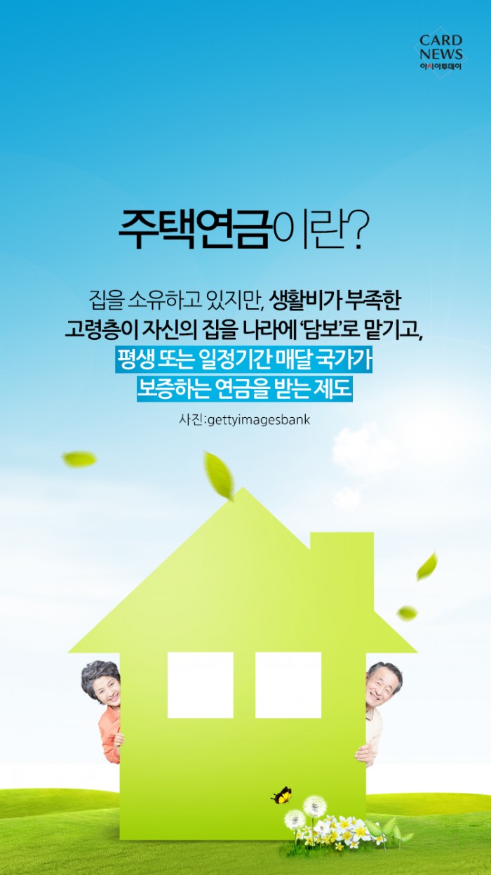 카드 뉴스 이미지