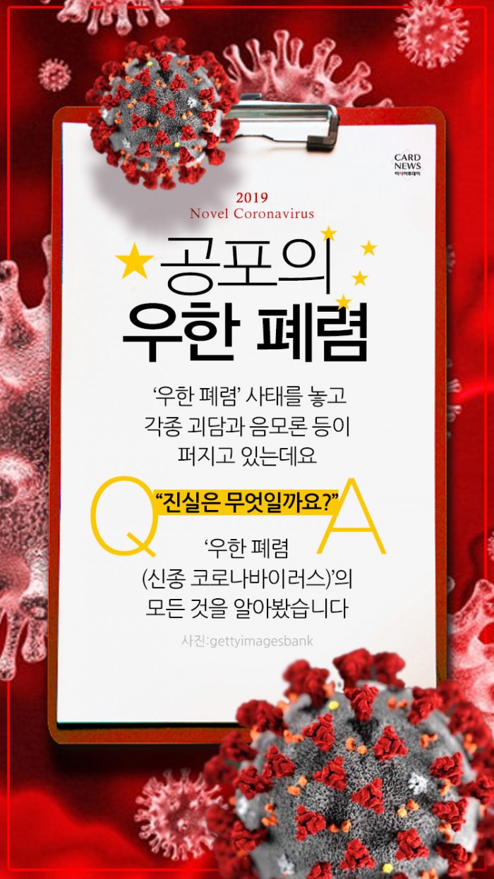 카드 뉴스 이미지