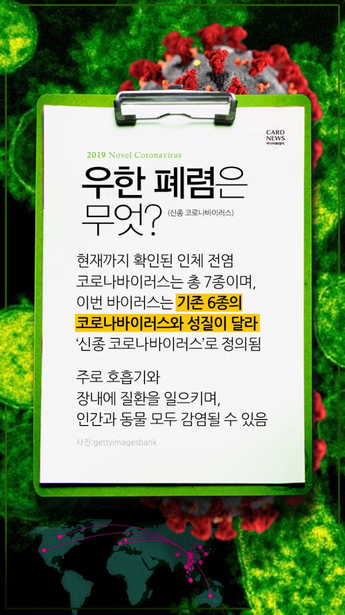 카드 뉴스 이미지