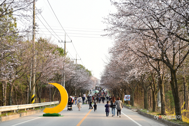 『여주시 가로수 조성·관리 지침 수립 용역』 착수