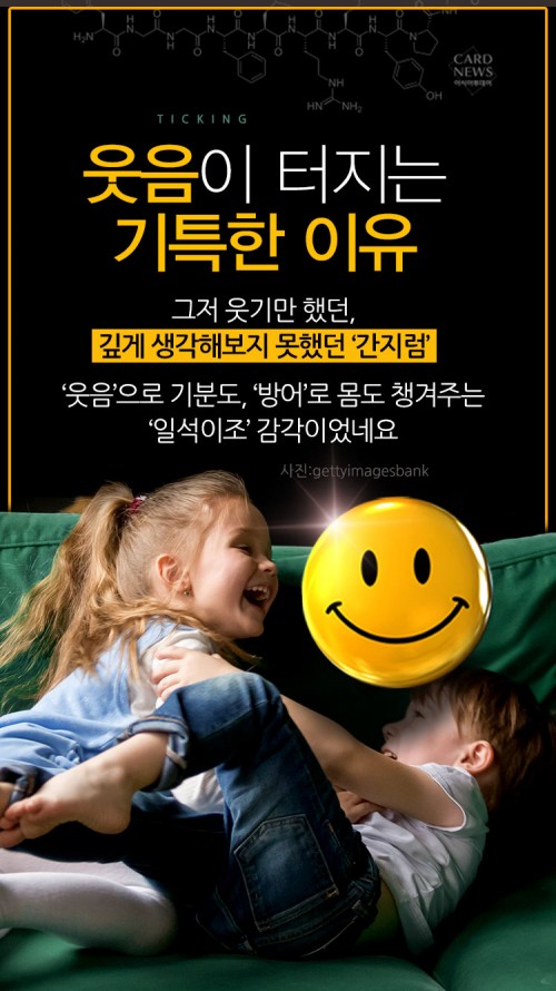카드 뉴스 이미지