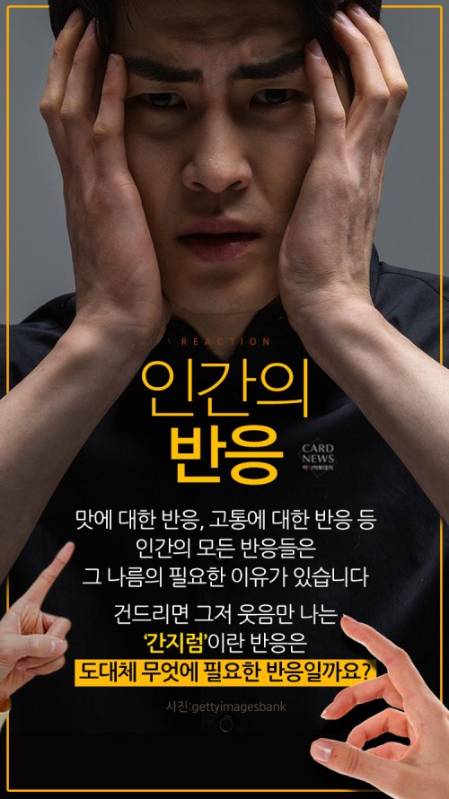 카드 뉴스 이미지