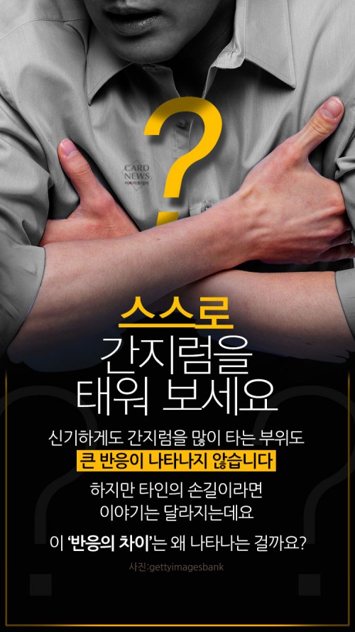카드 뉴스 이미지