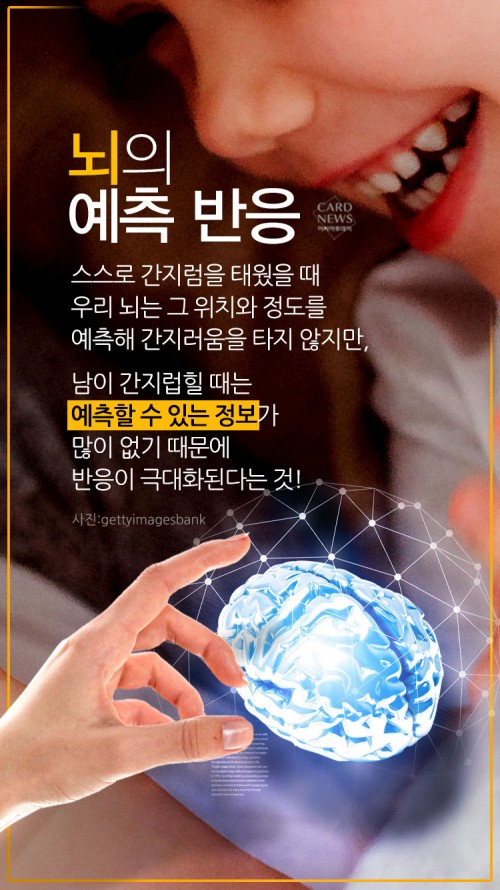 카드 뉴스 이미지