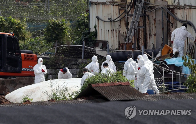 가축전염병 연합자료