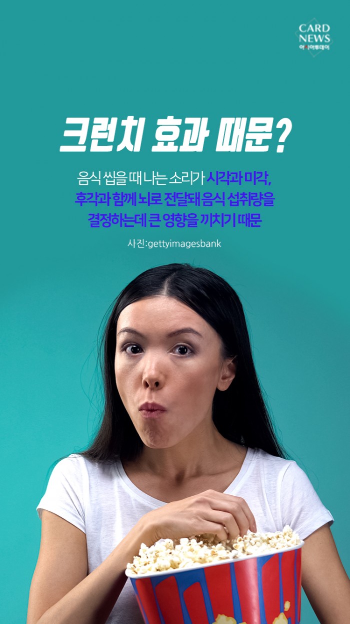 카드 뉴스 이미지
