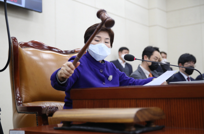 선거구획정안 상정하는 행안위원장