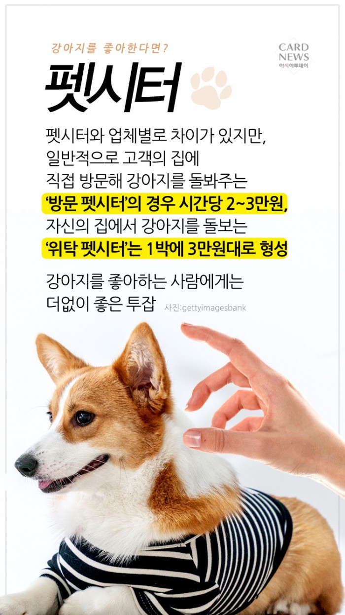 카드 뉴스 이미지