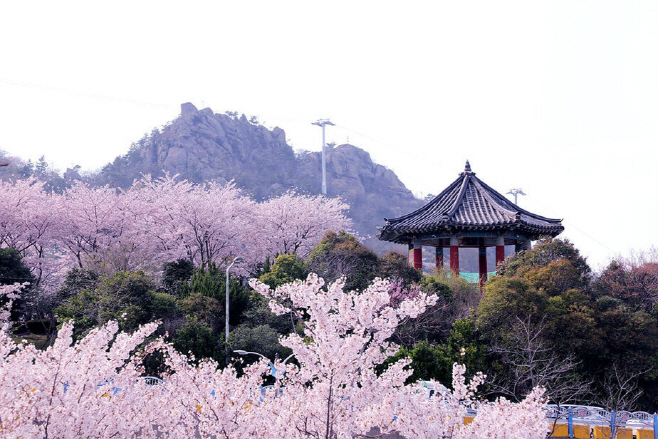 유달산 봄축제1