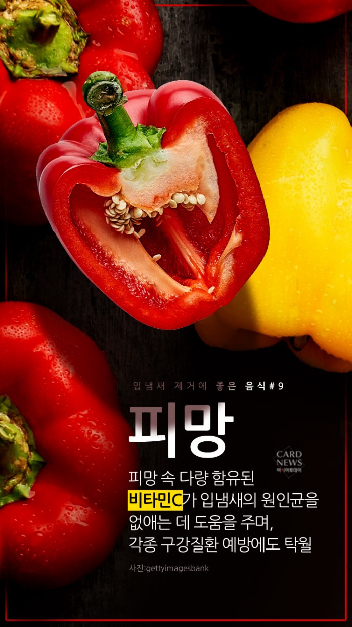 카드 뉴스 이미지