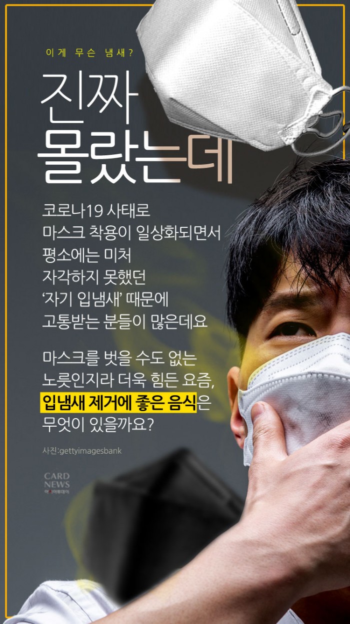 카드 뉴스 이미지