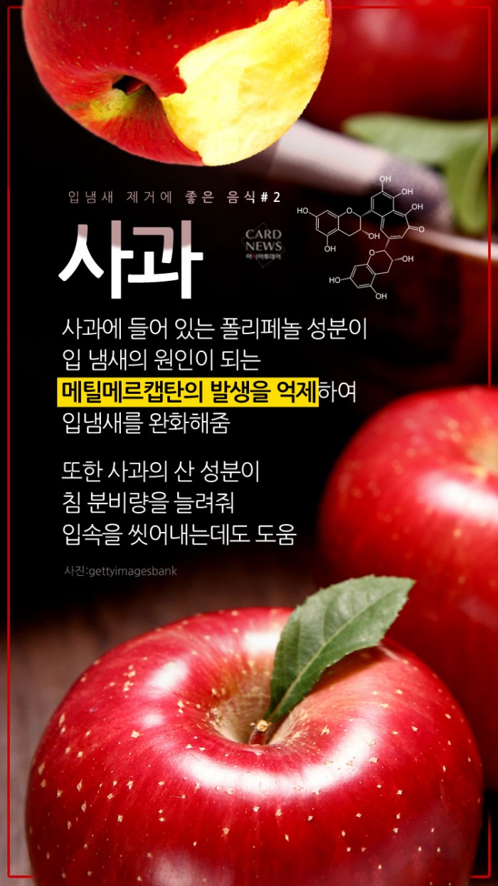 카드 뉴스 이미지