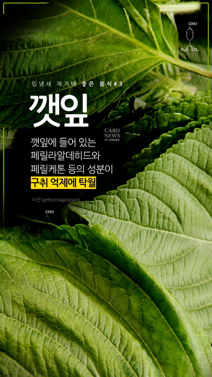 카드 뉴스 이미지