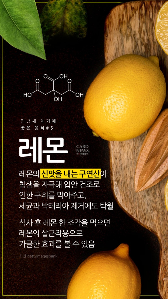 카드 뉴스 이미지