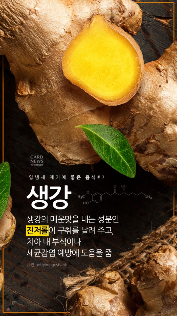 카드 뉴스 이미지